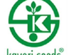 Kaveri Seed Company Limited BuyBack